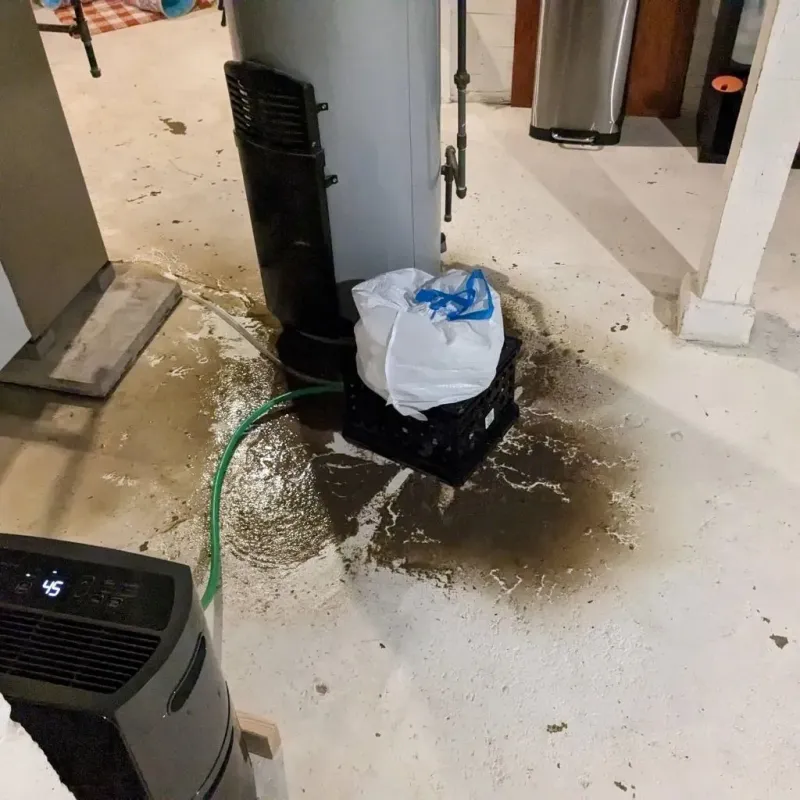 Sewage Backup Cleanup Service in Caruthersville, MO